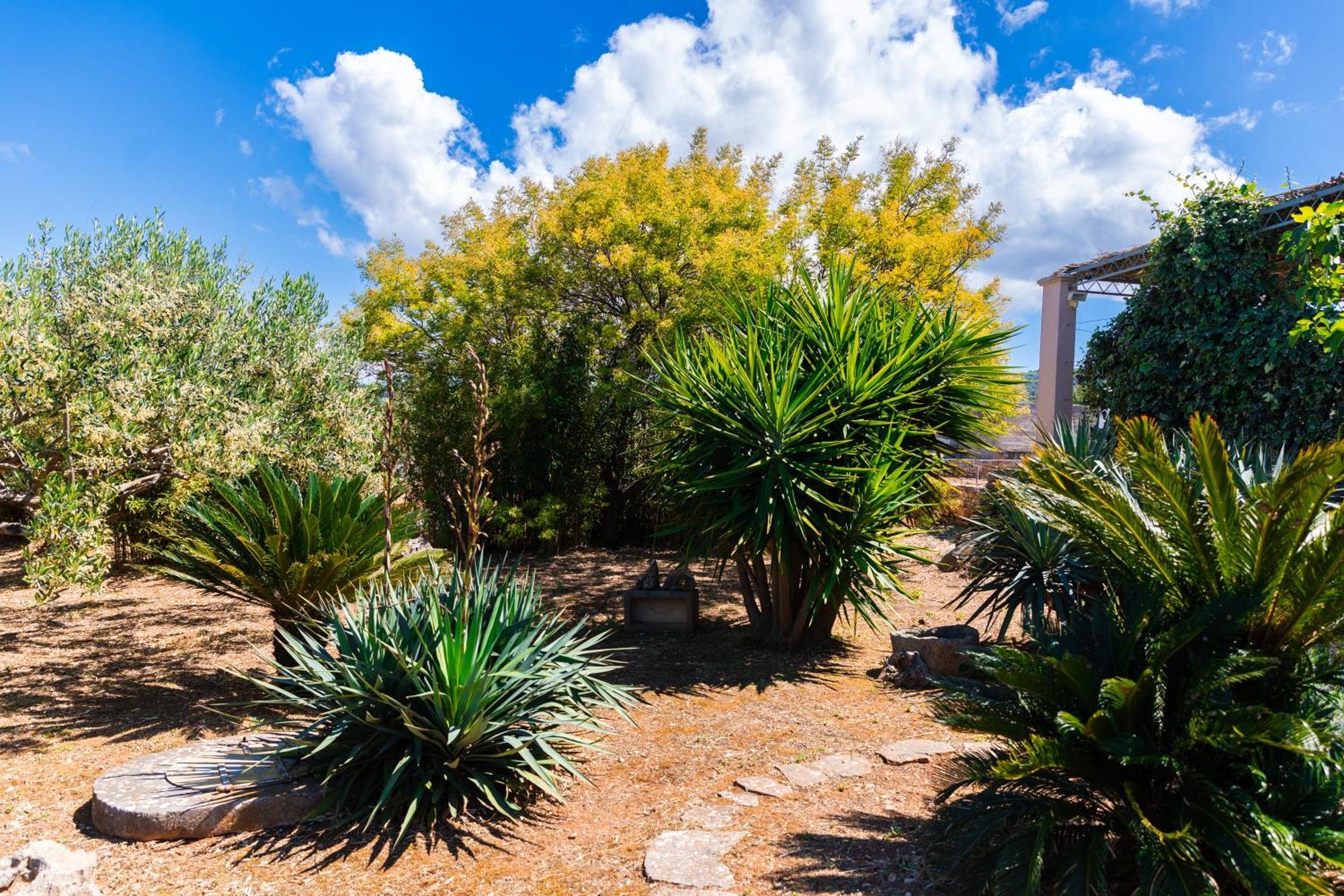 Agape - Three Bedroom On 15k M2 Olive Grove - Incredible 360 View - Free Parking - Private Pool And Jacuzzi Villa Mirca (Brac)