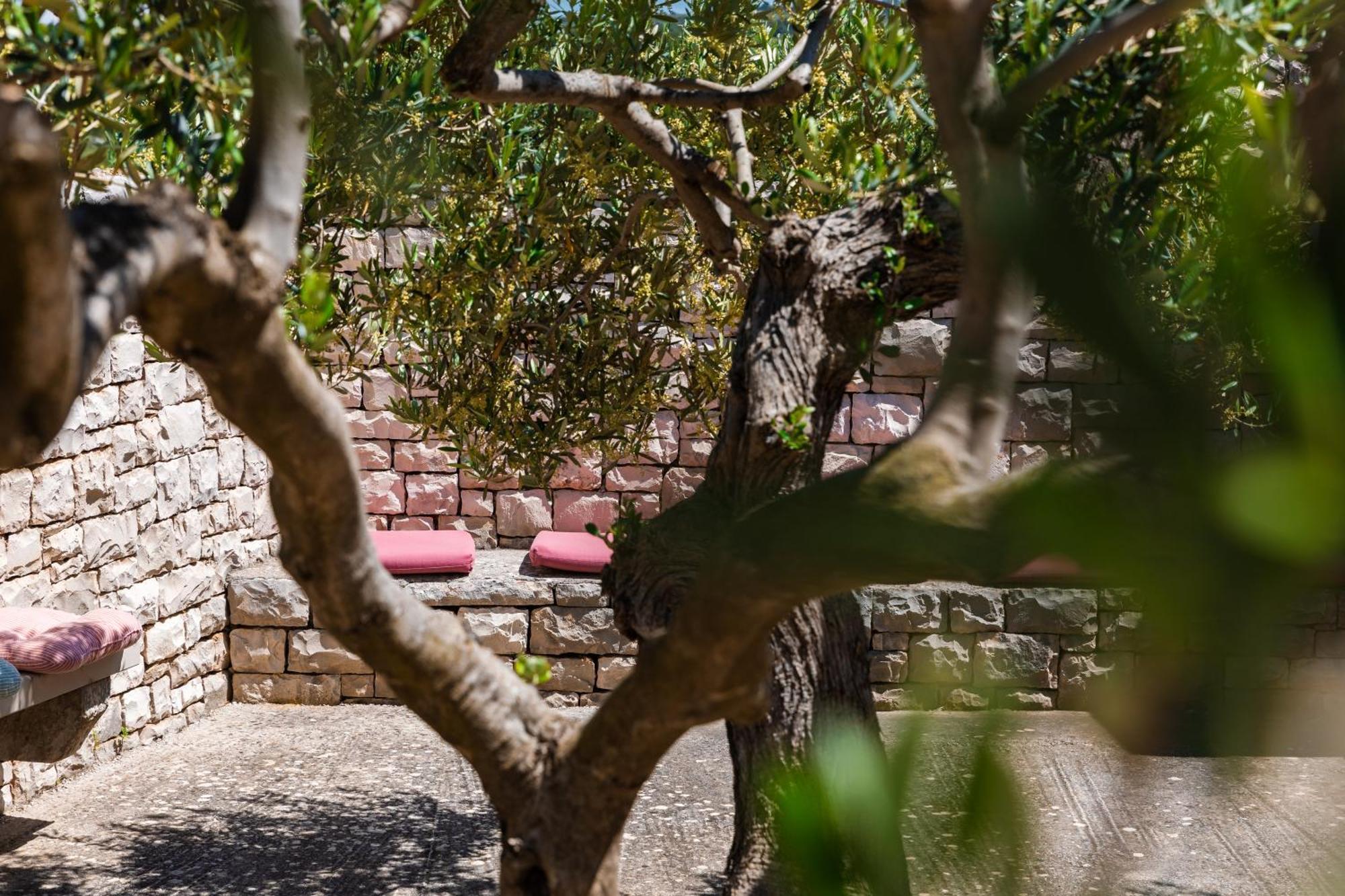 Villa Agape - Three Bedroom On 15k M2 Olive Grove - Incredible 360 View - Free Parking - Private Pool And Jacuzzi *